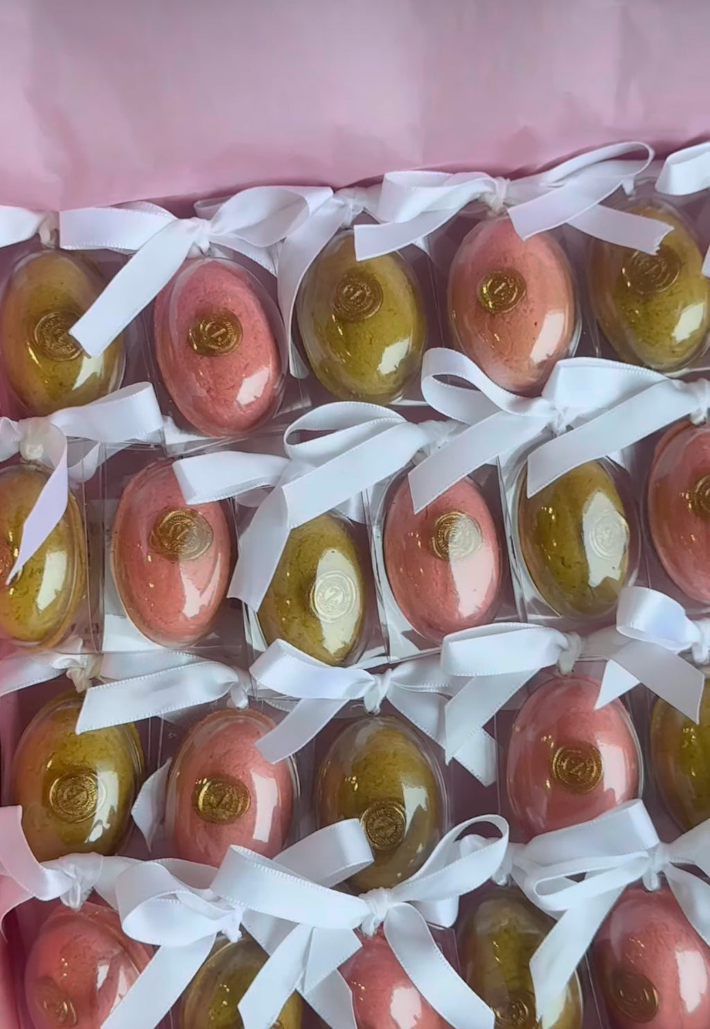 Zozati à l’unité