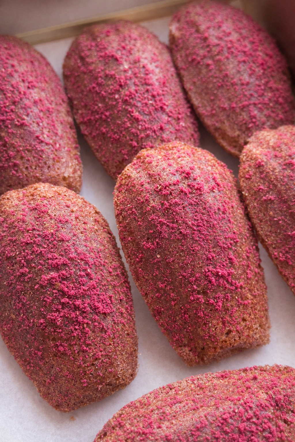 12 Madeleines Artisanales – Vanille & Framboise